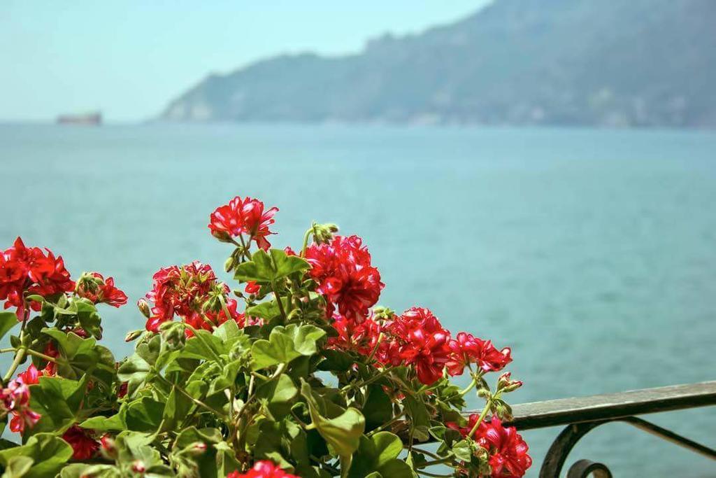 B&B Fronte Del Mare Салерно Екстериор снимка